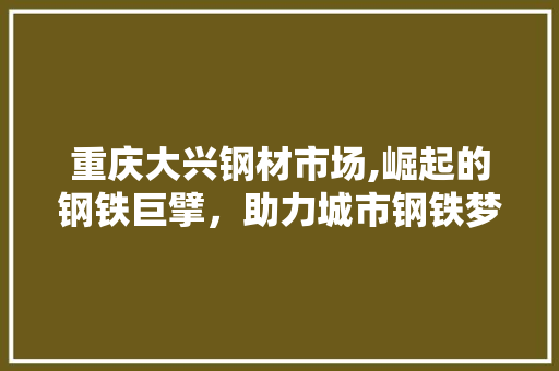 重庆大兴钢材市场,崛起的钢铁巨擘，助力城市钢铁梦