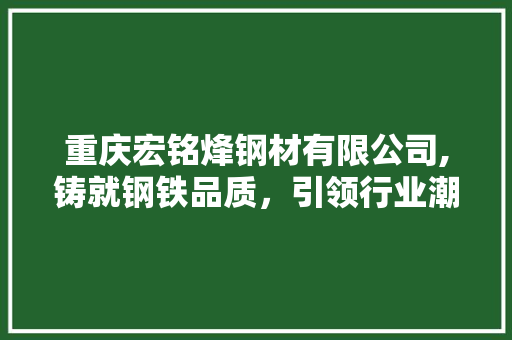 重庆宏铭烽钢材有限公司,铸就钢铁品质，引领行业潮流