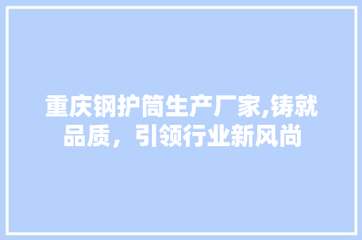 重庆钢护筒生产厂家,铸就品质，引领行业新风尚