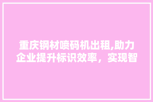 重庆钢材喷码机出租,助力企业提升标识效率，实现智能化管理