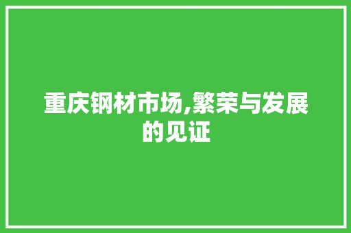 重庆钢材市场,繁荣与发展的见证