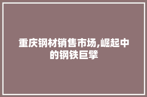 重庆钢材销售市场,崛起中的钢铁巨擘
