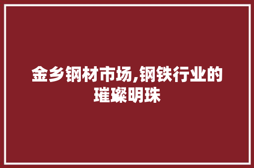 金乡钢材市场,钢铁行业的璀璨明珠