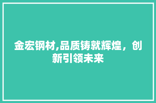 金宏钢材,品质铸就辉煌，创新引领未来