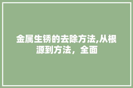 金属生锈的去除方法,从根源到方法，全面