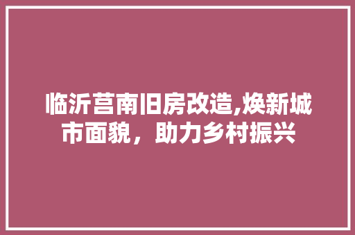 临沂莒南旧房改造,焕新城市面貌，助力乡村振兴