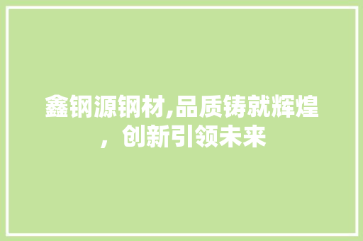 鑫钢源钢材,品质铸就辉煌，创新引领未来