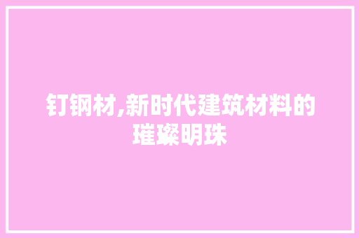 钉钢材,新时代建筑材料的璀璨明珠