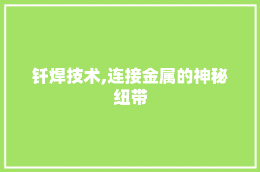 钎焊技术,连接金属的神秘纽带