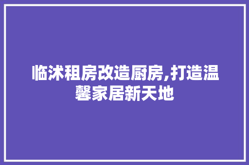 临沭租房改造厨房,打造温馨家居新天地