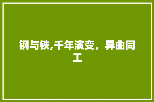 钢与铁,千年演变，异曲同工