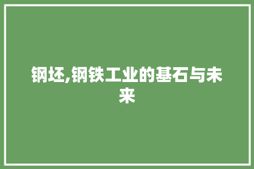 钢坯,钢铁工业的基石与未来