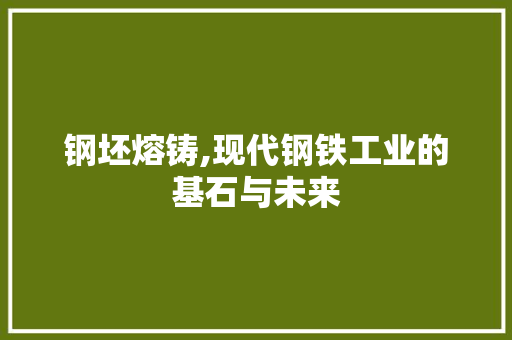 钢坯熔铸,现代钢铁工业的基石与未来