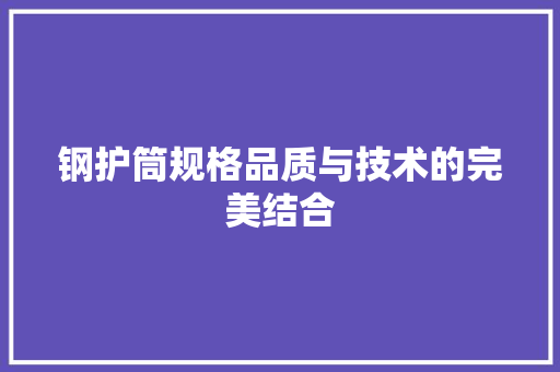 钢护筒规格品质与技术的完美结合