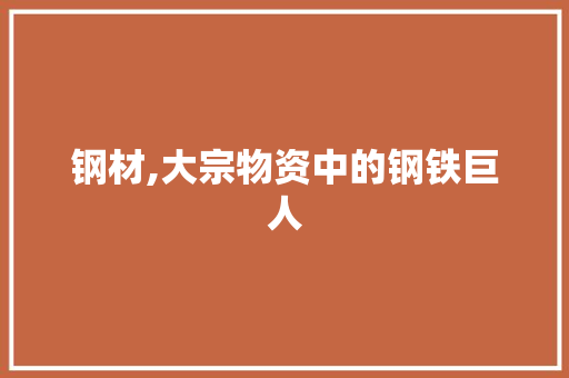 钢材,大宗物资中的钢铁巨人