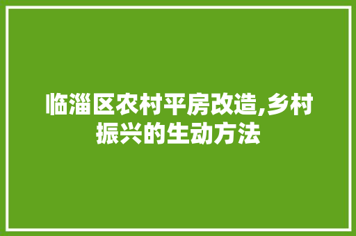 临淄区农村平房改造,乡村振兴的生动方法