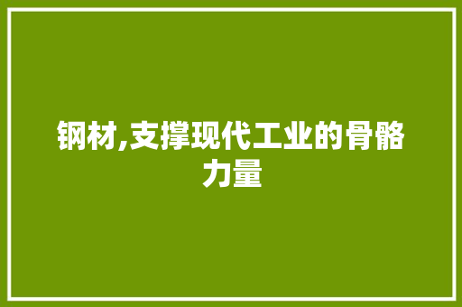 钢材,支撑现代工业的骨骼力量
