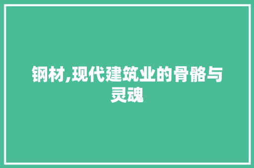 钢材,现代建筑业的骨骼与灵魂
