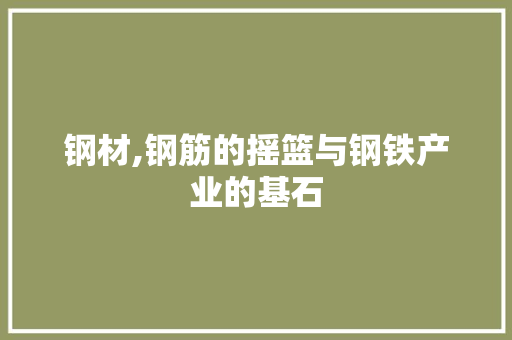 钢材,钢筋的摇篮与钢铁产业的基石