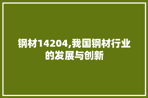 钢材14204,我国钢材行业的发展与创新