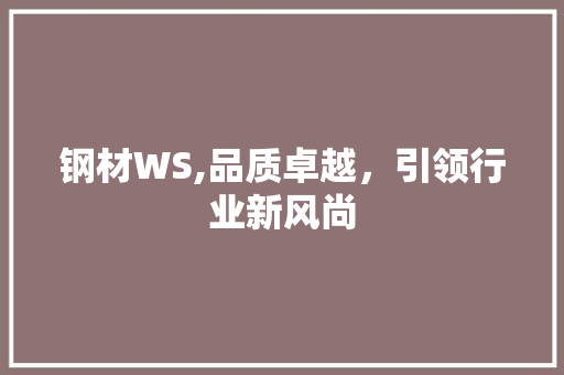 钢材WS,品质卓越，引领行业新风尚