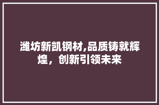 潍坊新凯钢材,品质铸就辉煌，创新引领未来