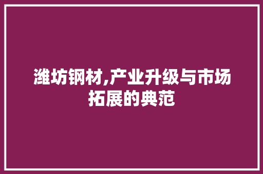 潍坊钢材,产业升级与市场拓展的典范