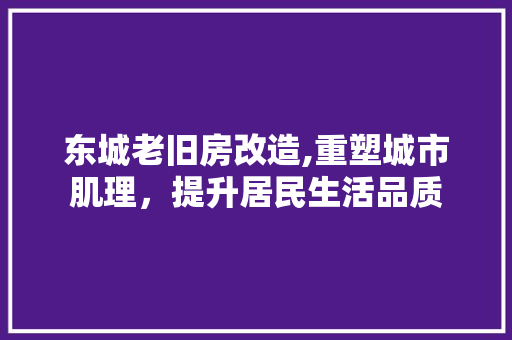 东城老旧房改造,重塑城市肌理，提升居民生活品质