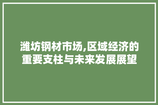 潍坊钢材市场,区域经济的重要支柱与未来发展展望