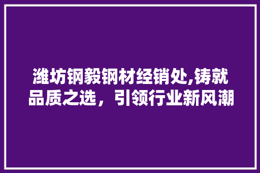 潍坊钢毅钢材经销处,铸就品质之选，引领行业新风潮