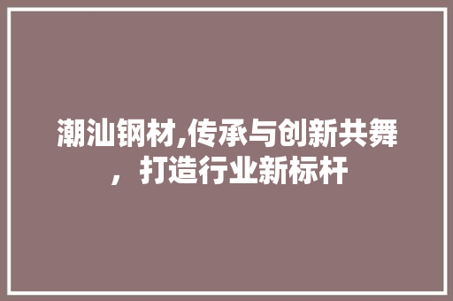 潮汕钢材,传承与创新共舞，打造行业新标杆