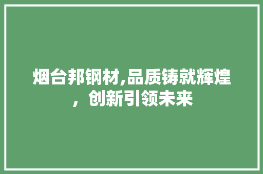 烟台邦钢材,品质铸就辉煌，创新引领未来