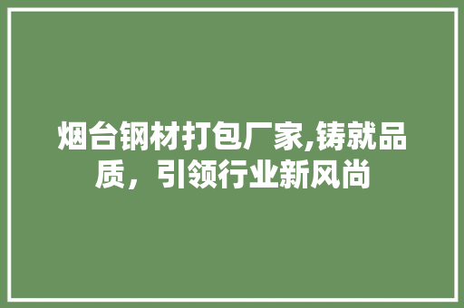 烟台钢材打包厂家,铸就品质，引领行业新风尚