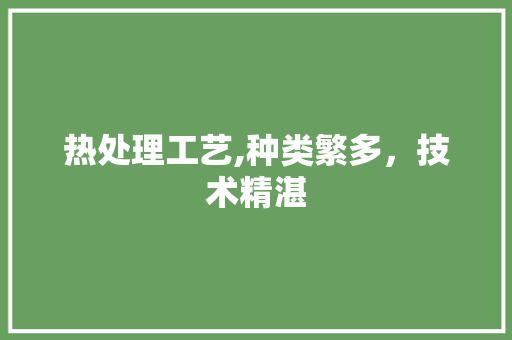 热处理工艺,种类繁多，技术精湛