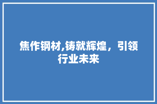 焦作钢材,铸就辉煌，引领行业未来
