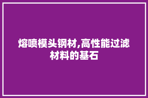 熔喷模头钢材,高性能过滤材料的基石