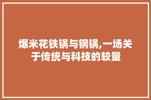 爆米花铁锅与钢锅,一场关于传统与科技的较量
