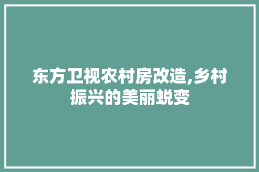 东方卫视农村房改造,乡村振兴的美丽蜕变