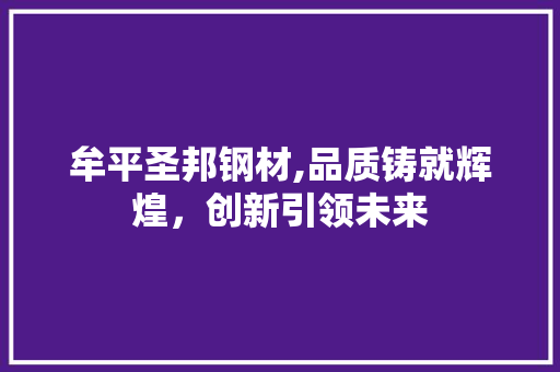 牟平圣邦钢材,品质铸就辉煌，创新引领未来