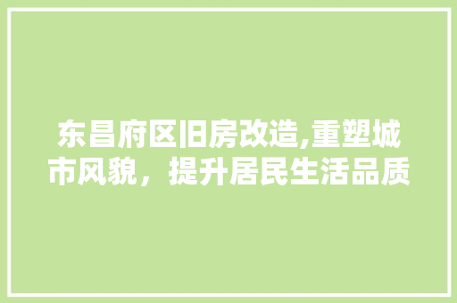 东昌府区旧房改造,重塑城市风貌，提升居民生活品质
