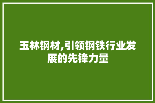 玉林钢材,引领钢铁行业发展的先锋力量