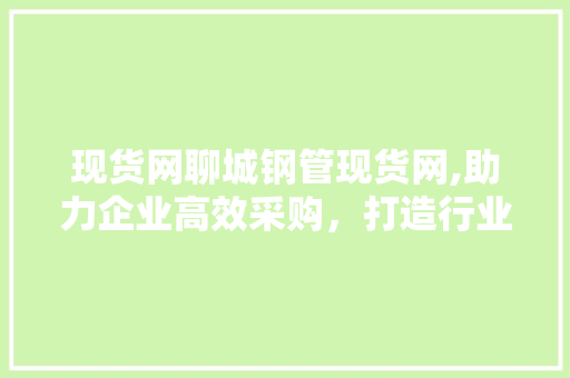 现货网聊城钢管现货网,助力企业高效采购，打造行业新标杆