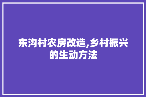 东沟村农房改造,乡村振兴的生动方法