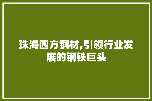 珠海四方钢材,引领行业发展的钢铁巨头