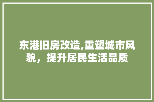 东港旧房改造,重塑城市风貌，提升居民生活品质