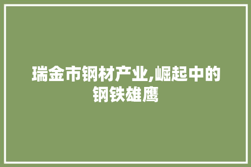 瑞金市钢材产业,崛起中的钢铁雄鹰