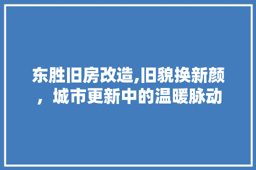 东胜旧房改造,旧貌换新颜，城市更新中的温暖脉动