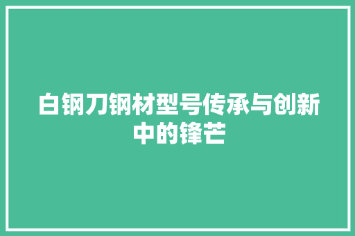白钢刀钢材型号传承与创新中的锋芒