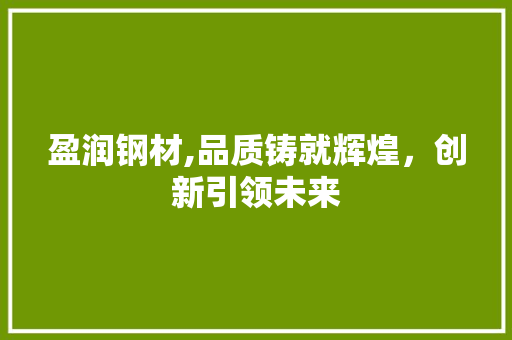 盈润钢材,品质铸就辉煌，创新引领未来