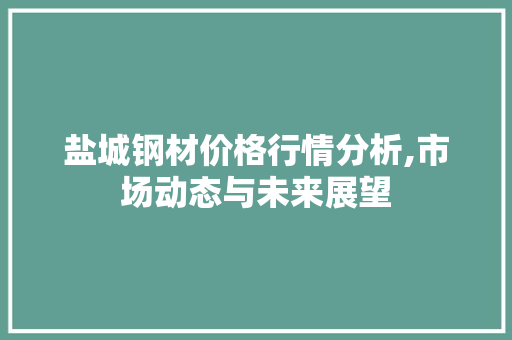盐城钢材价格行情分析,市场动态与未来展望
